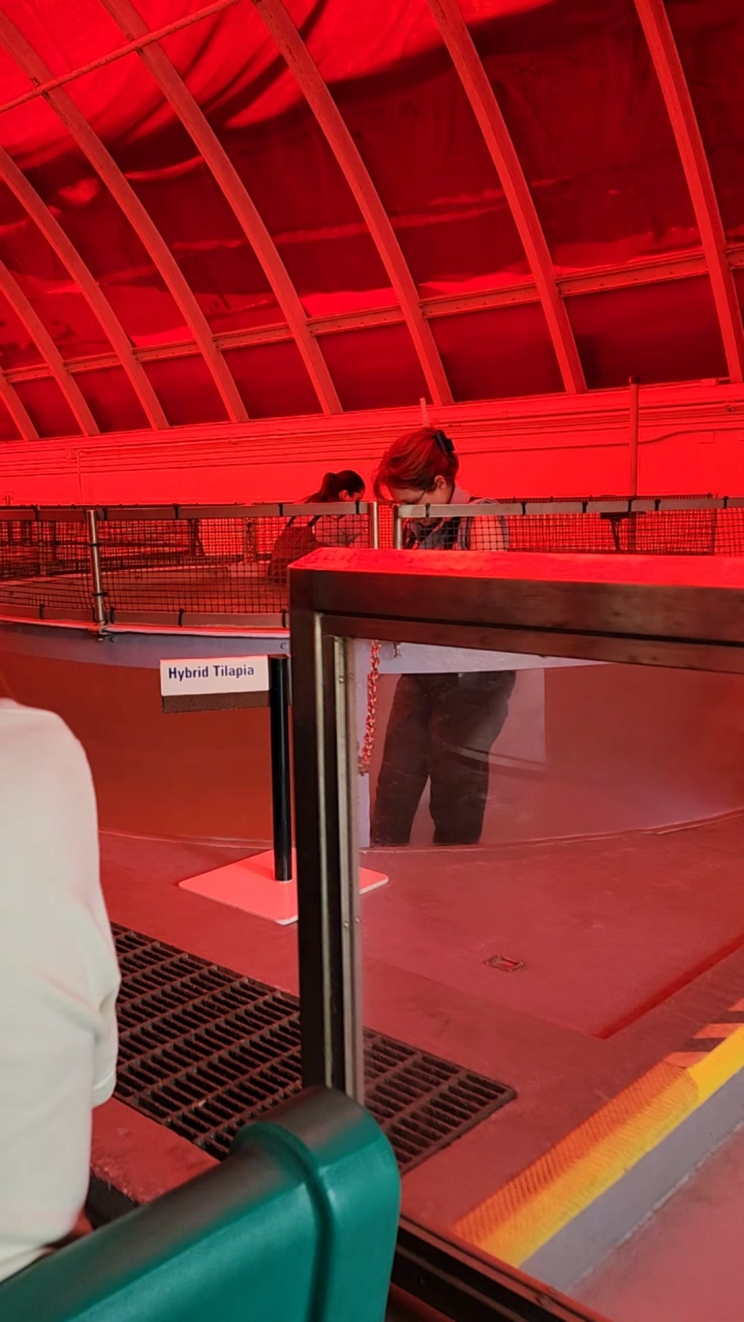 Living With the Land Tee (IYKYK)