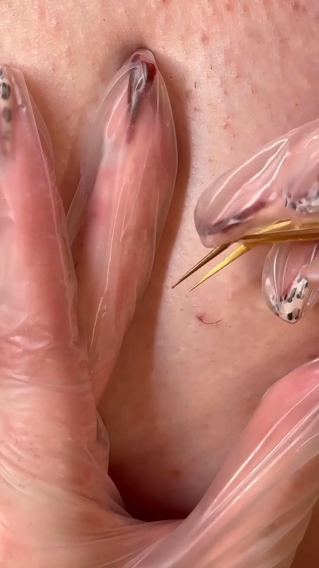 Made in Canada 🇨🇦