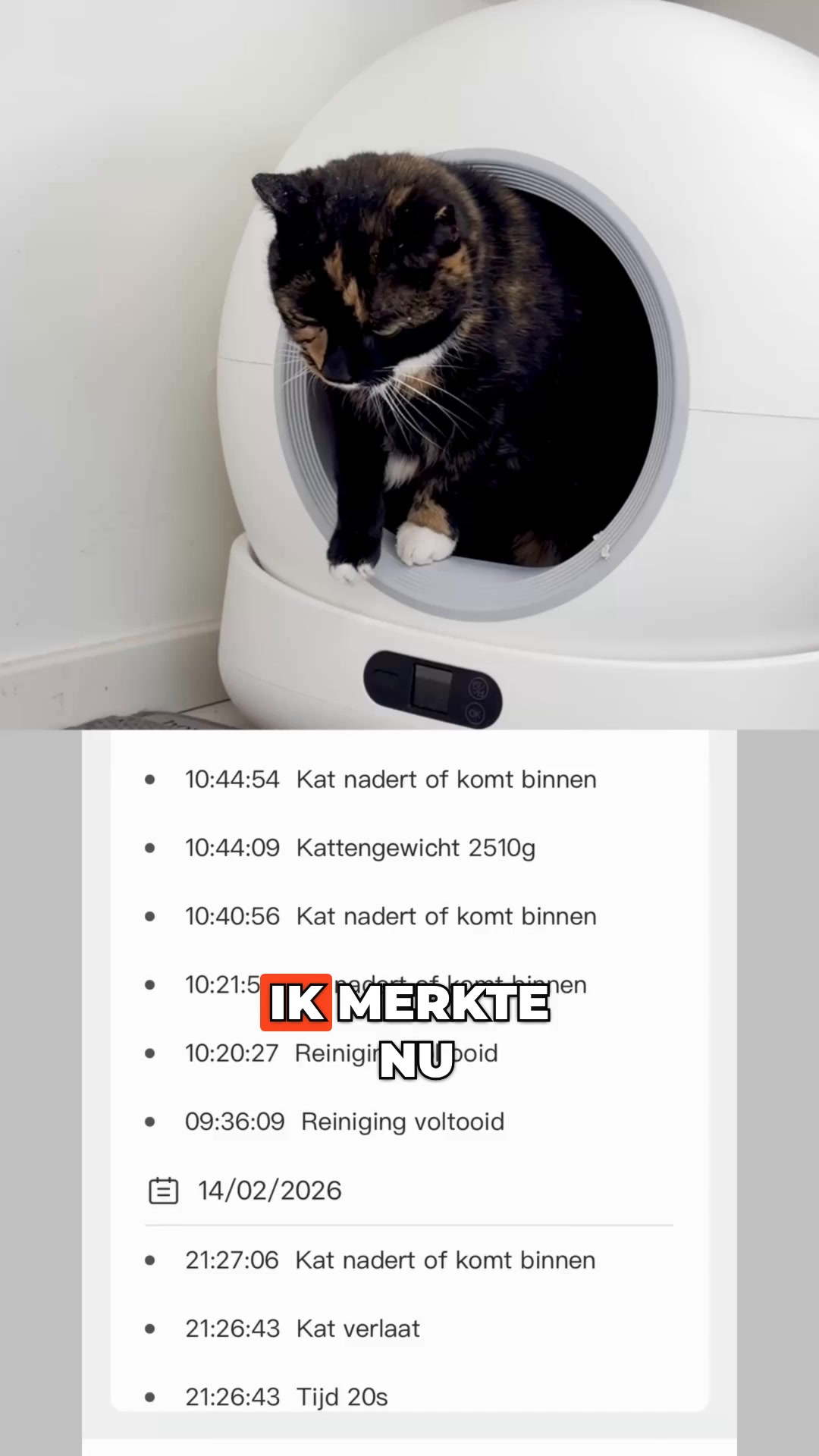 Nooit meer de kattenbak scheppen 🐾