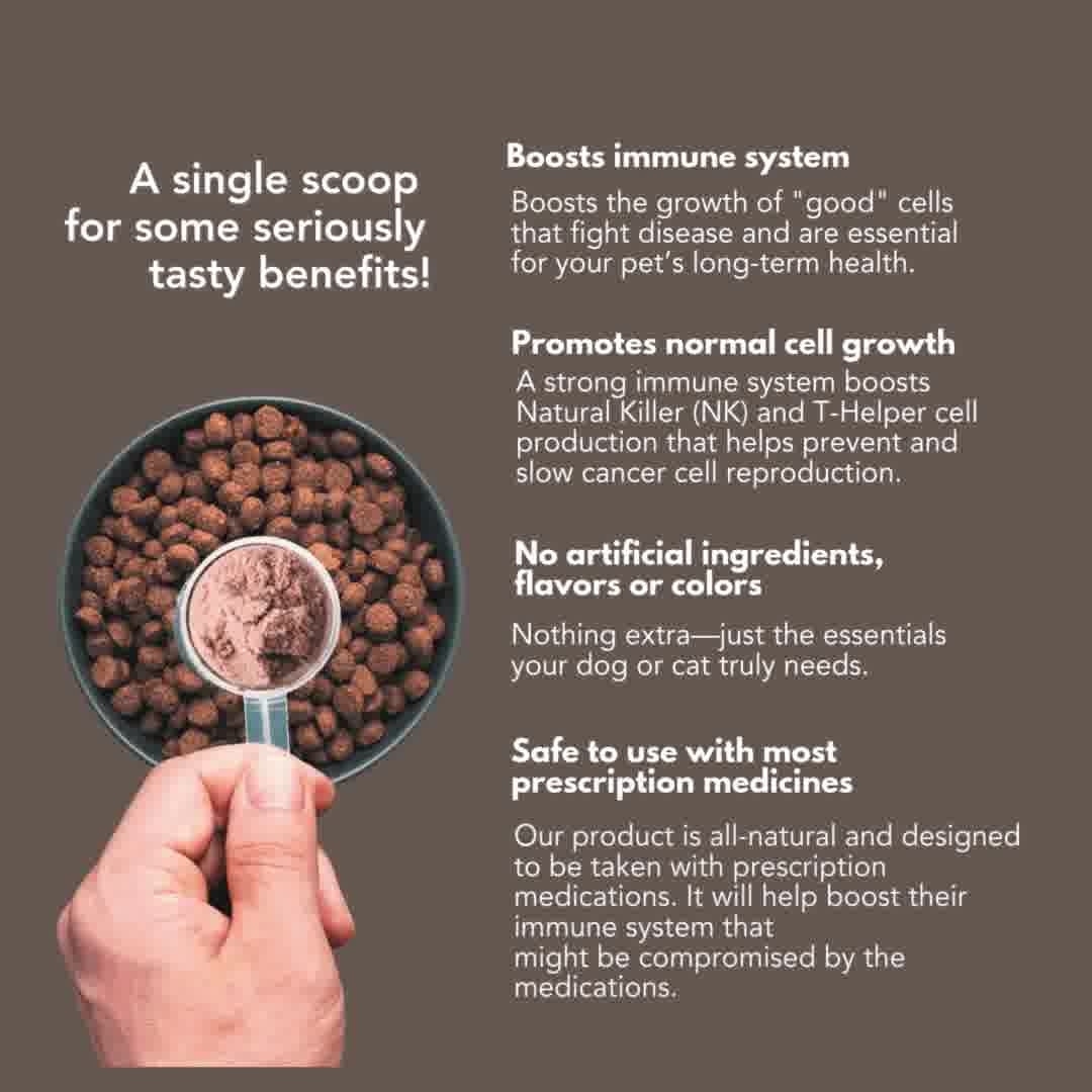 𝗣𝗮𝗽𝗶𝗹𝗹𝗼𝗺𝗮 𝘃𝗶𝗿𝘂𝘀 𝗳𝗶𝗻𝗮𝗹𝗹𝘆 𝗰𝗹𝗲𝗮𝗿𝗲𝗱 𝗮𝗳𝘁𝗲𝗿 𝗶𝗺𝗺𝘂𝗻𝗲 𝘀𝘂𝗽𝗽𝗼𝗿𝘁