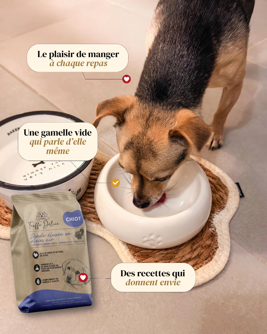 ❤️ Chaque achat de 20€ = 1 repas pour un chien de refuge