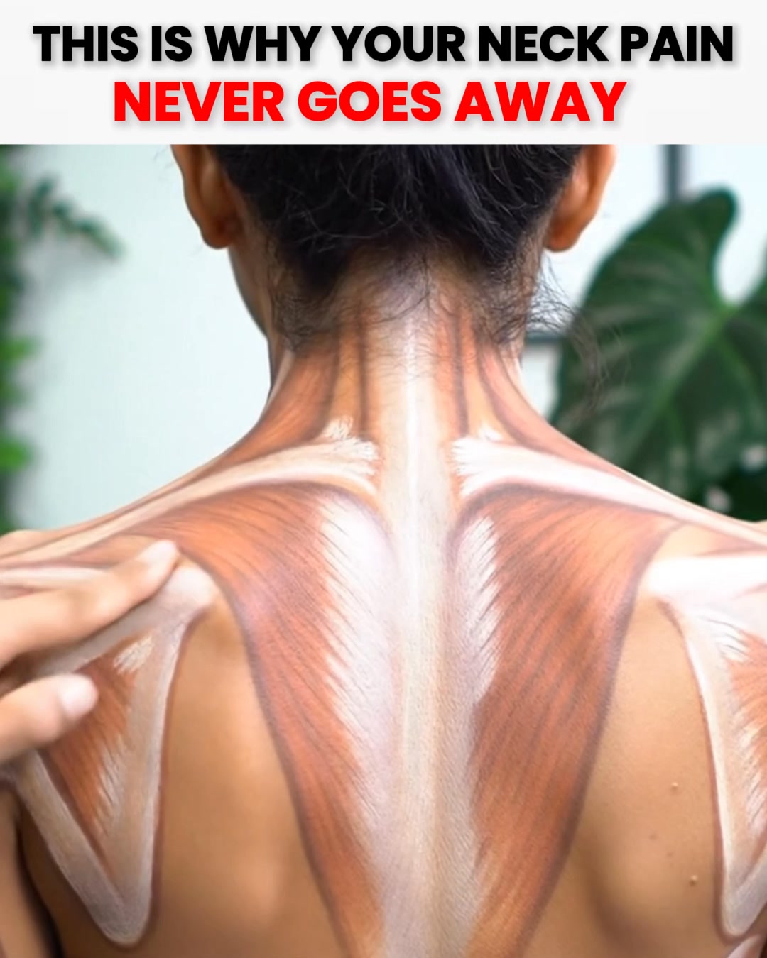 Neck Pain Relief Backed by Science!