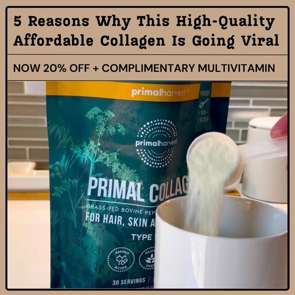 Top 5 Reasons ⭐ Primal Collagen Rated 4.8