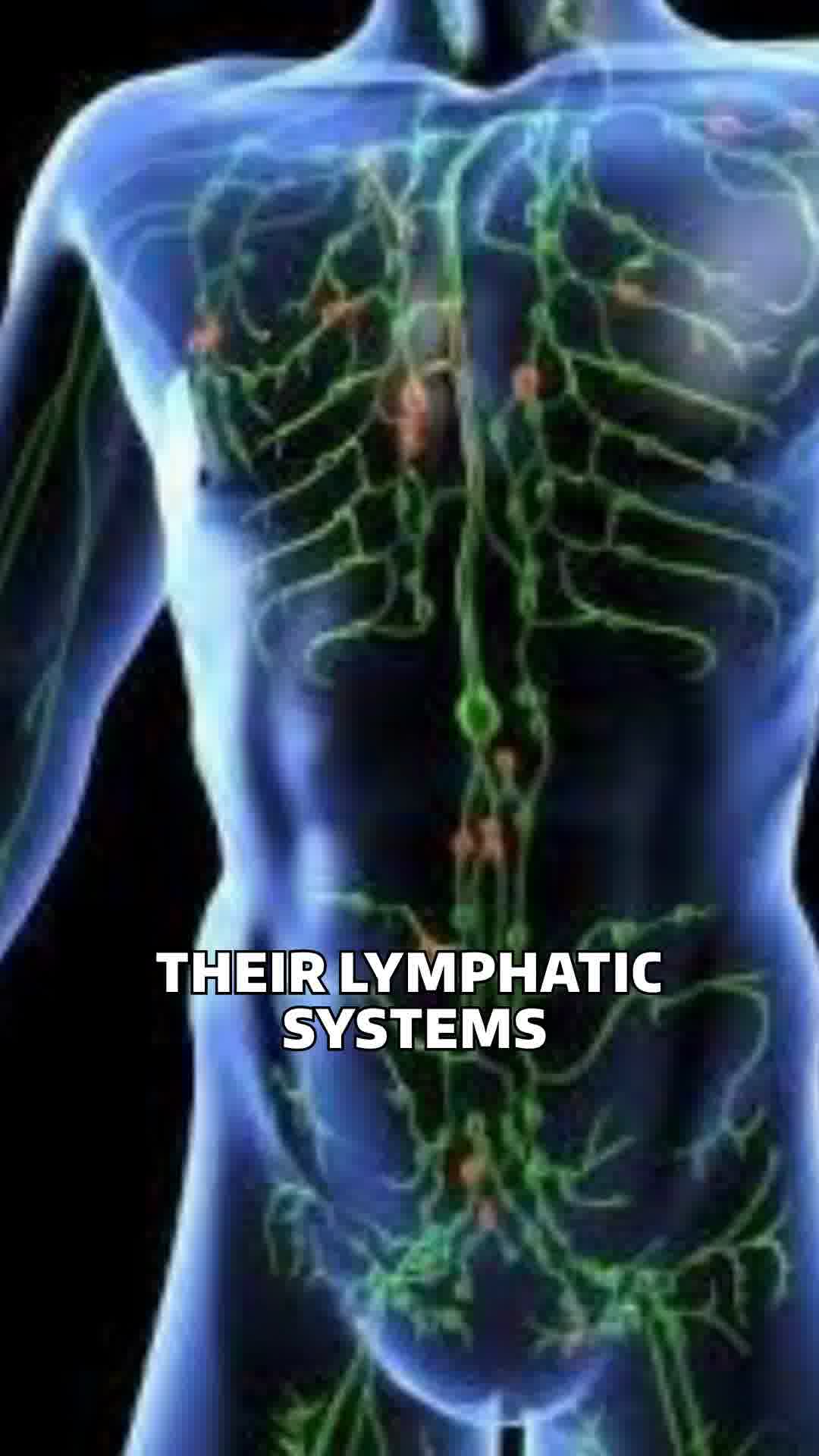 ⭐️ 99.9% Pure Copper