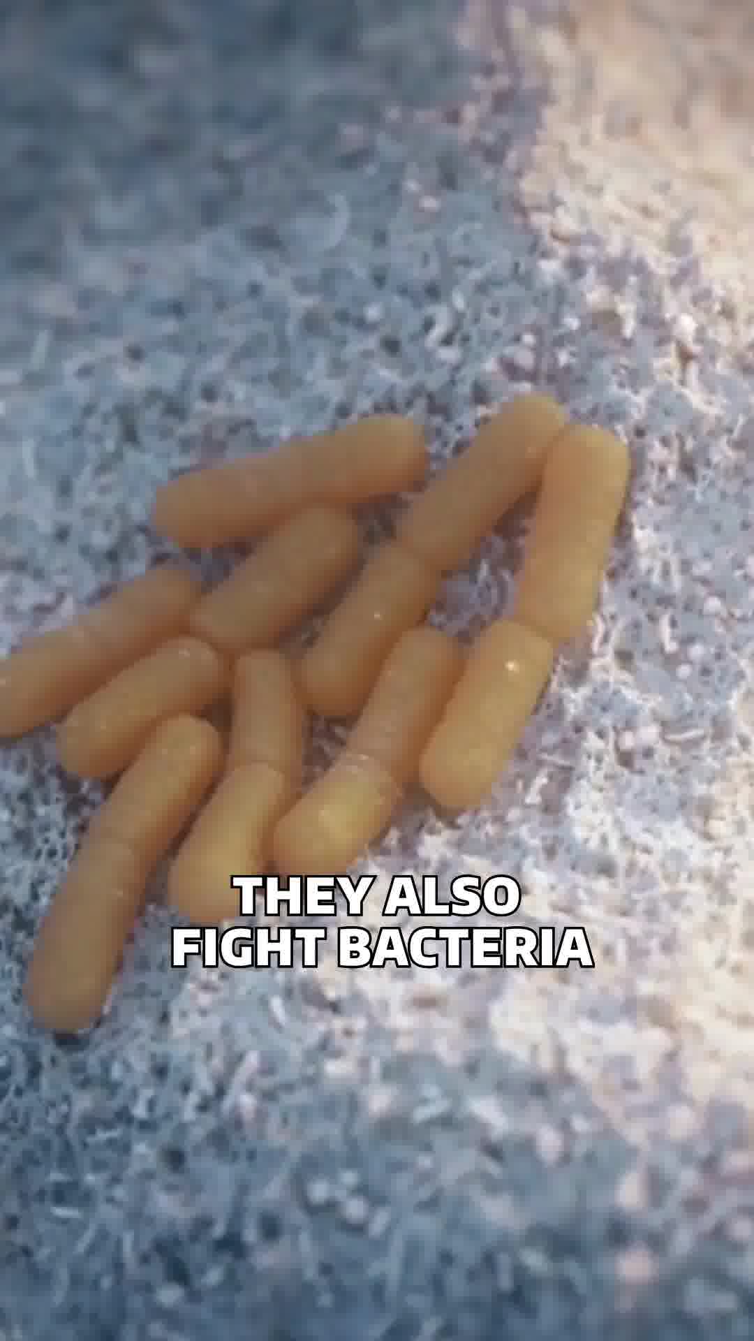 ⭐️ 99.9% Pure Copper