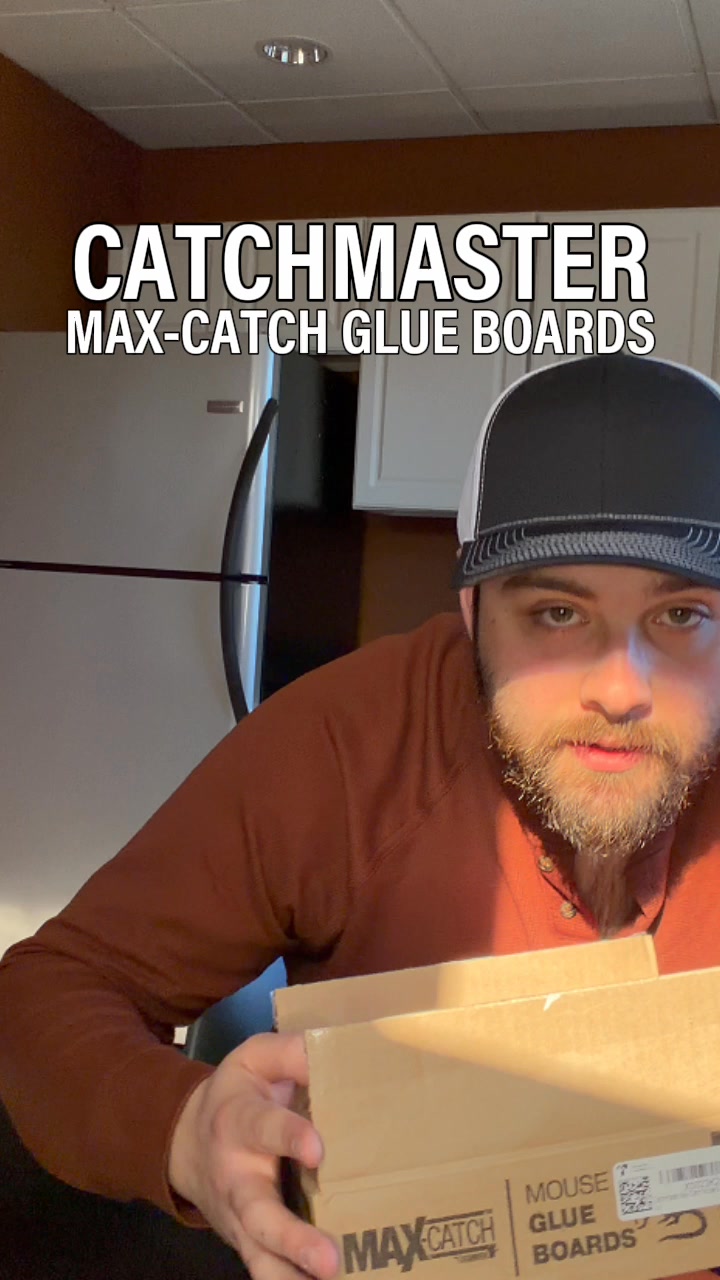 Poison-Free Pest Control For Your Home