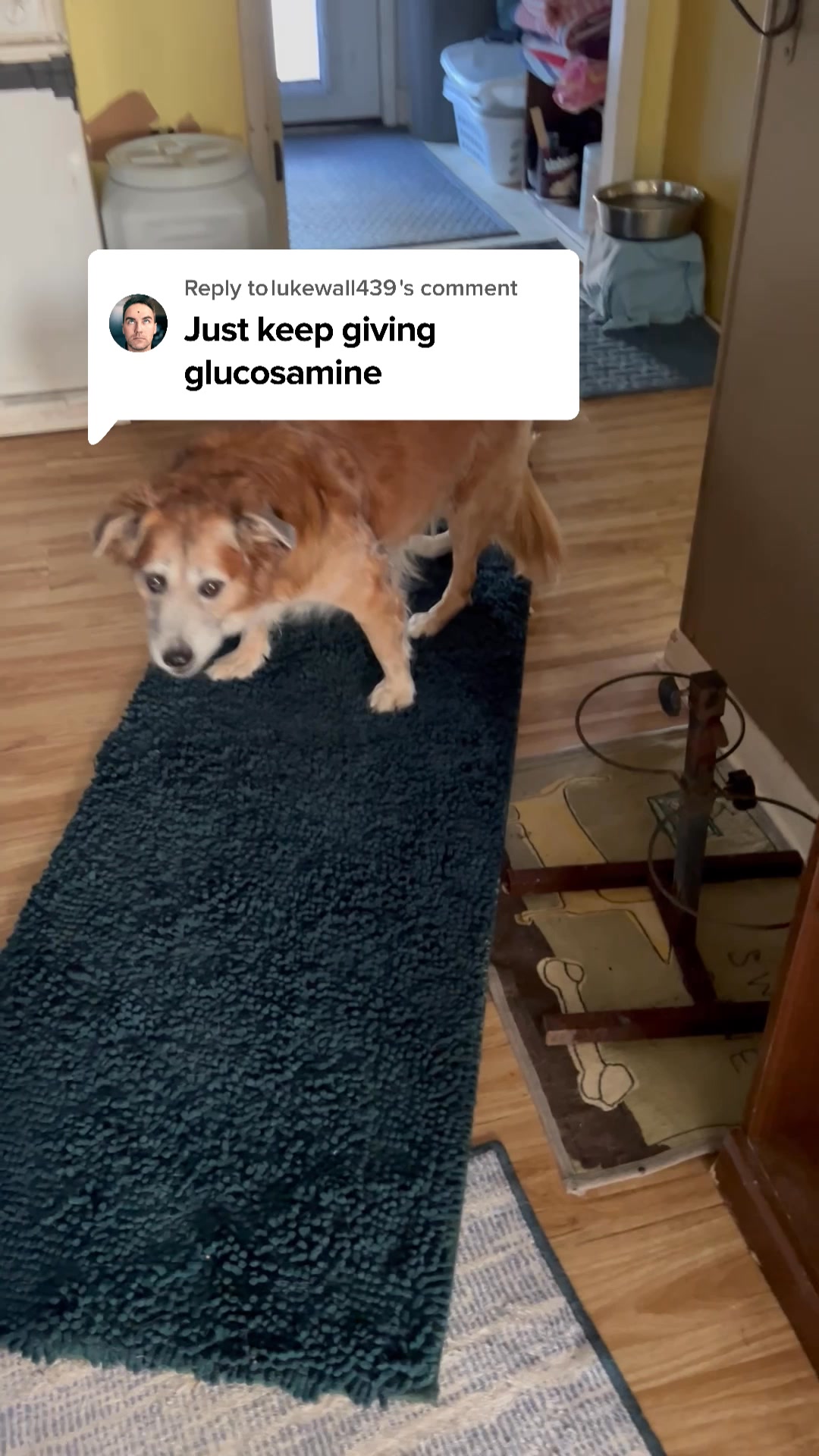 "I only wish I had tried sooner..."