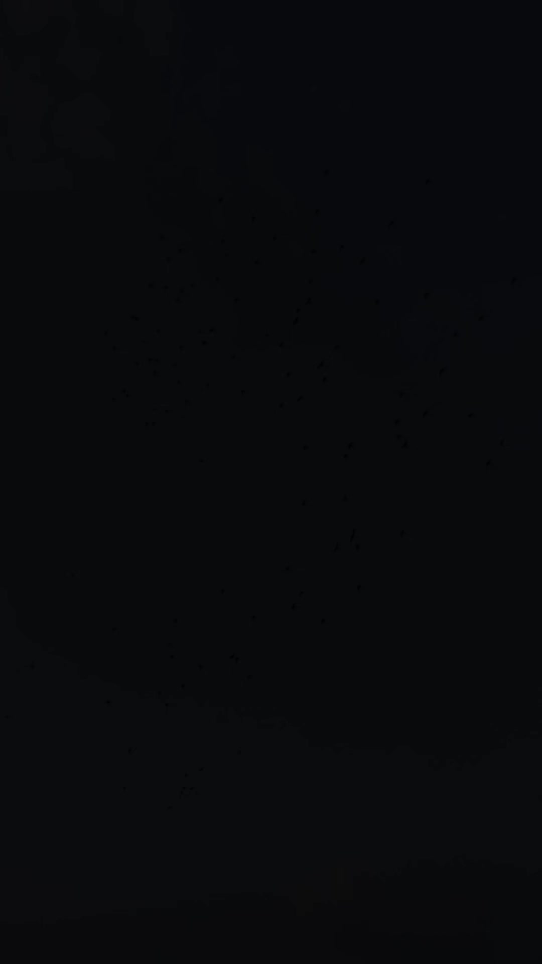 PORTES GRÁTIS a partir de 150€ 📦