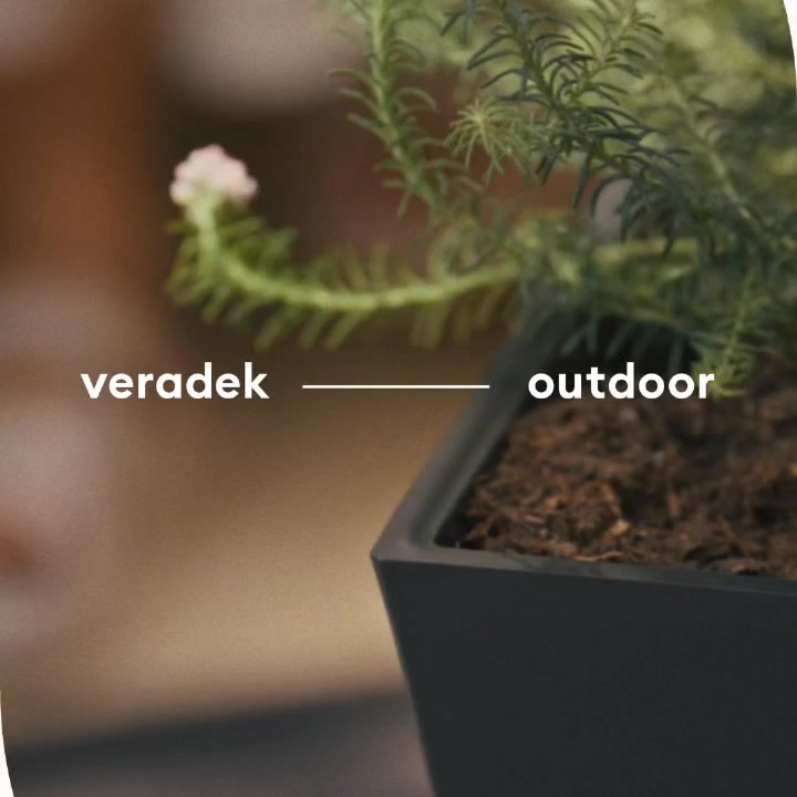 Meet you outside