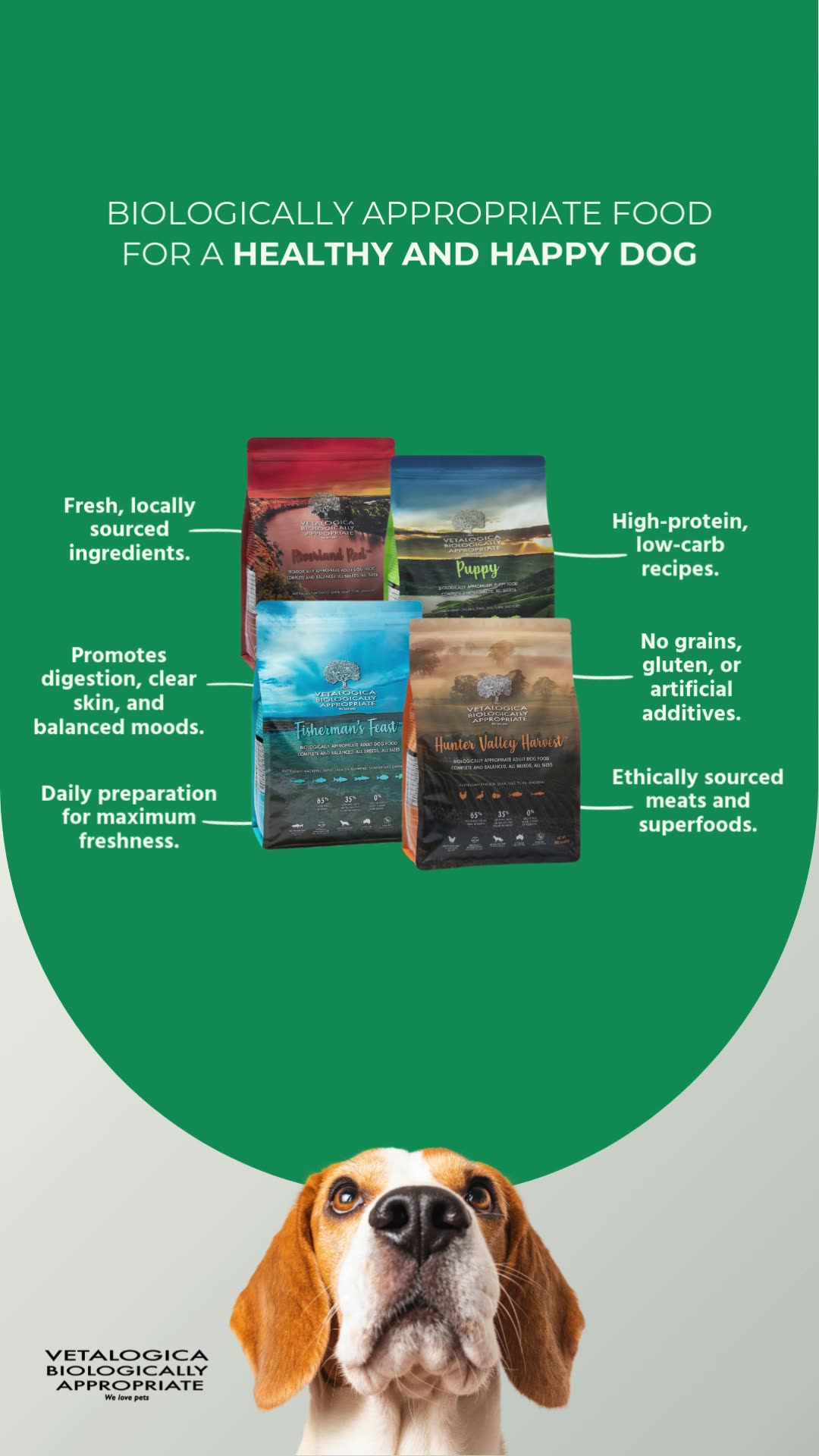 The Biologically Appropriate Dog Food Difference