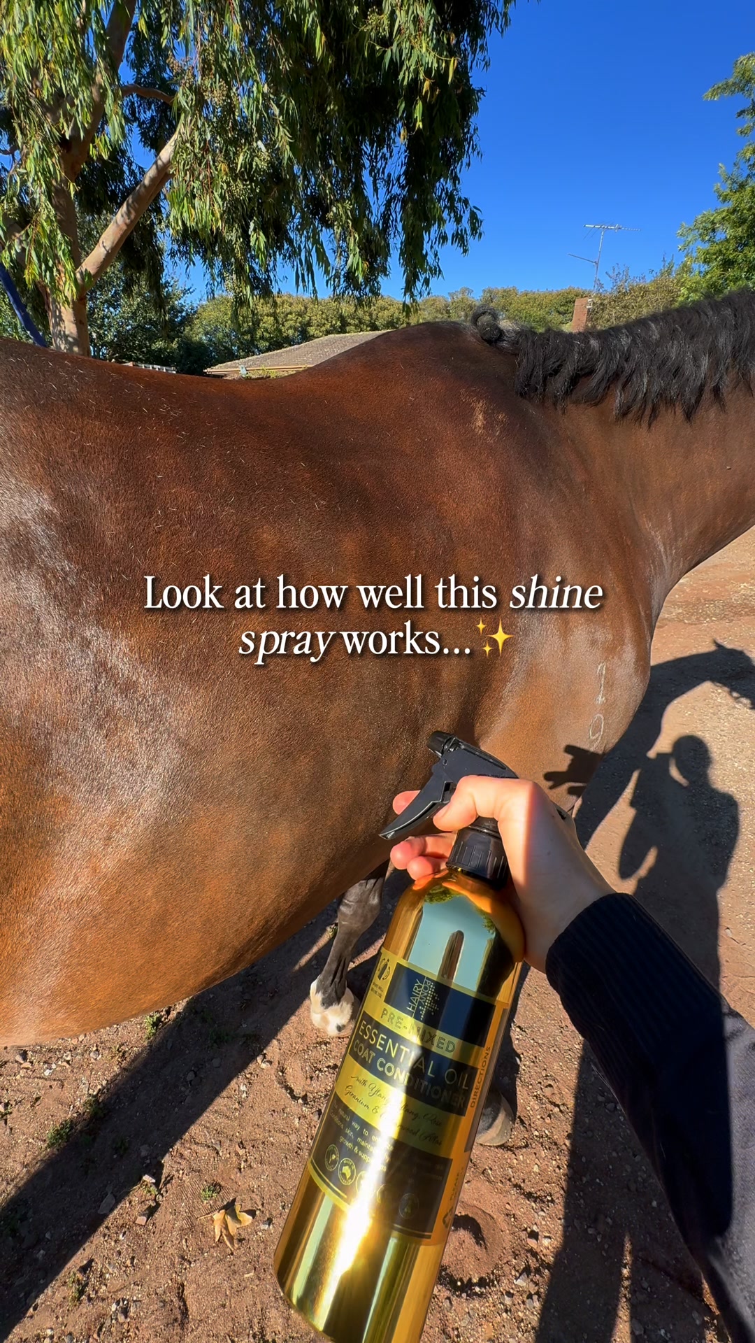 Pre-Mix Essential Oil Coat Conditioner