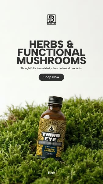 Natural Herbs & Functional Mushrooms