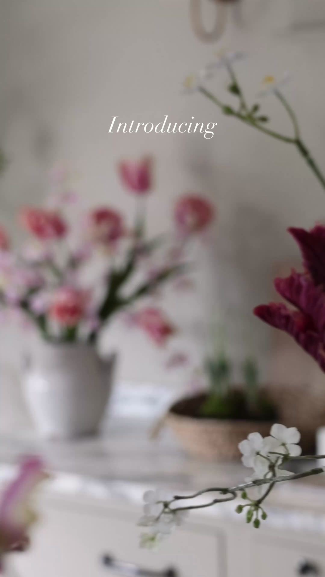 5% off your first order.