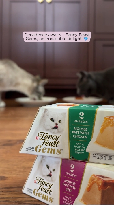 Fancy Feast Gems