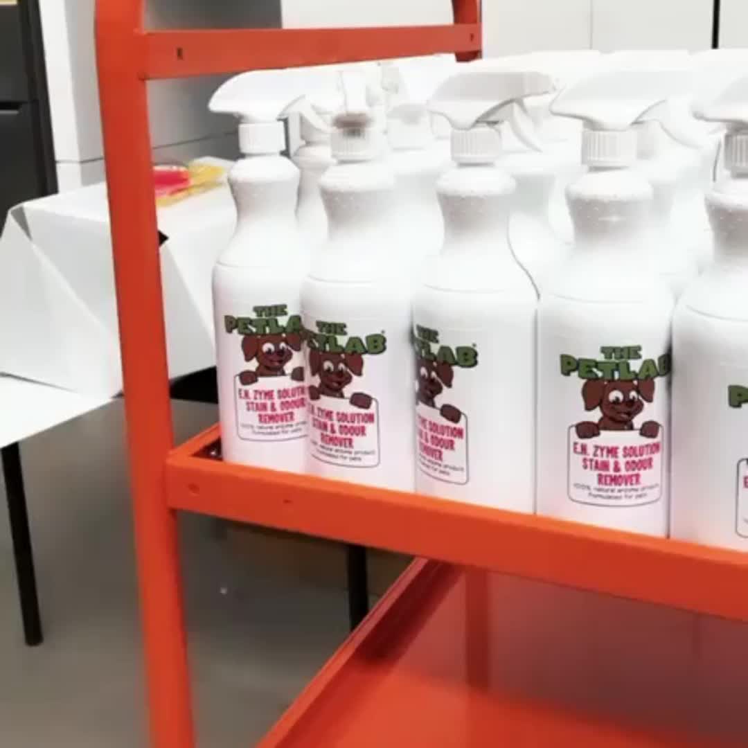 🔥 Last Chance Offer - 10% OFF! 🔥