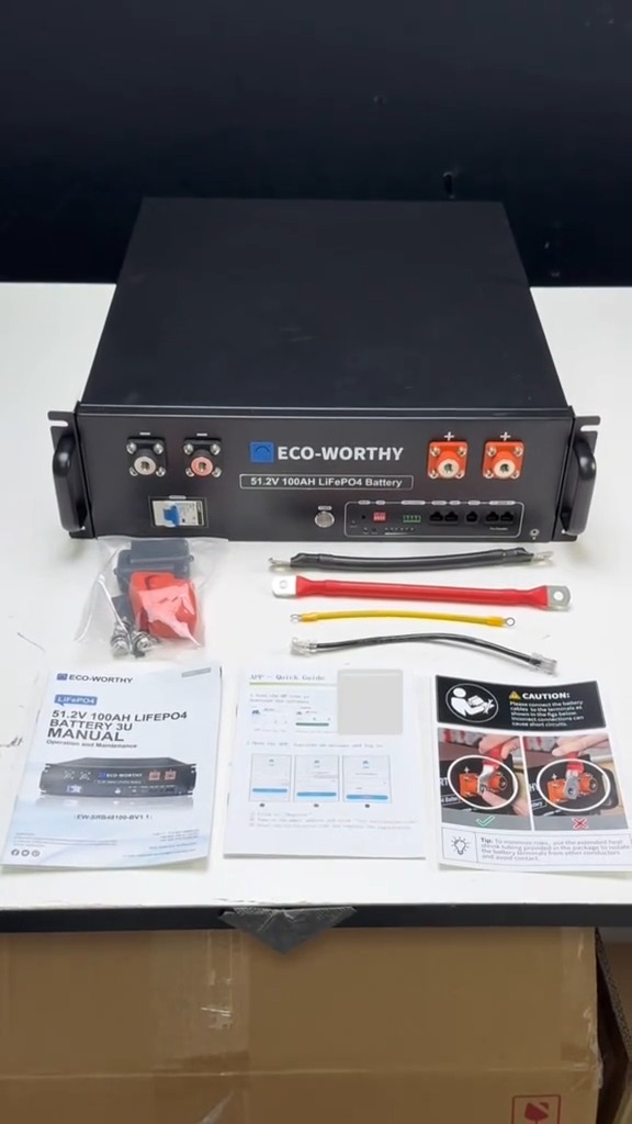 POV: You get a 51.2V 100Ah server rack battery…but wait, there’s more👀#ecoworthy  #energystorage