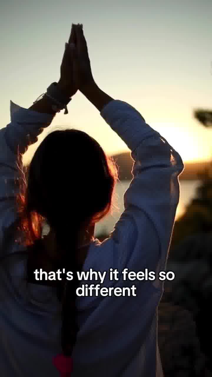 Discover The Magic of Cacao