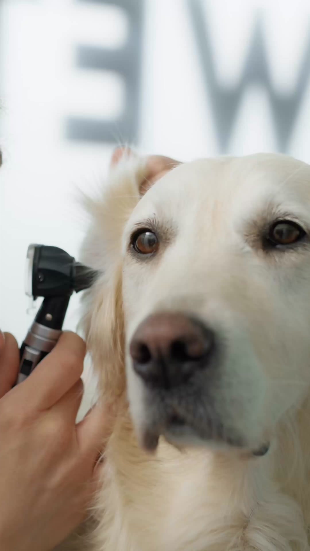 Mit gutem Gefühl füttern! 🐕