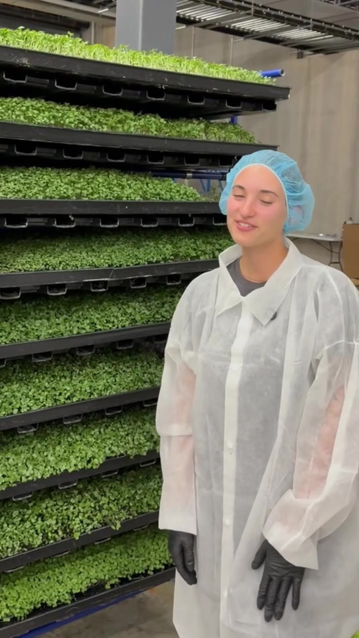 Whole Food Nutrition Made Simple