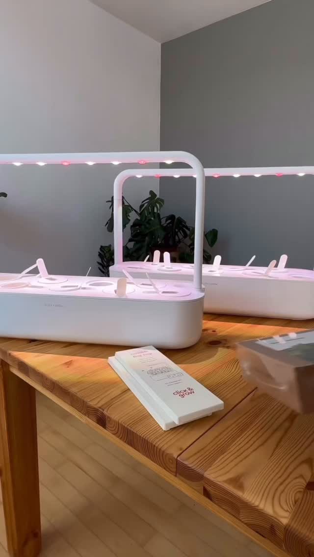 Quick garden reset with:
♥️Red basil
🌱Classic basil
🕶️Black pansy
🥬Green lettuce
🌈Rainbow Chard