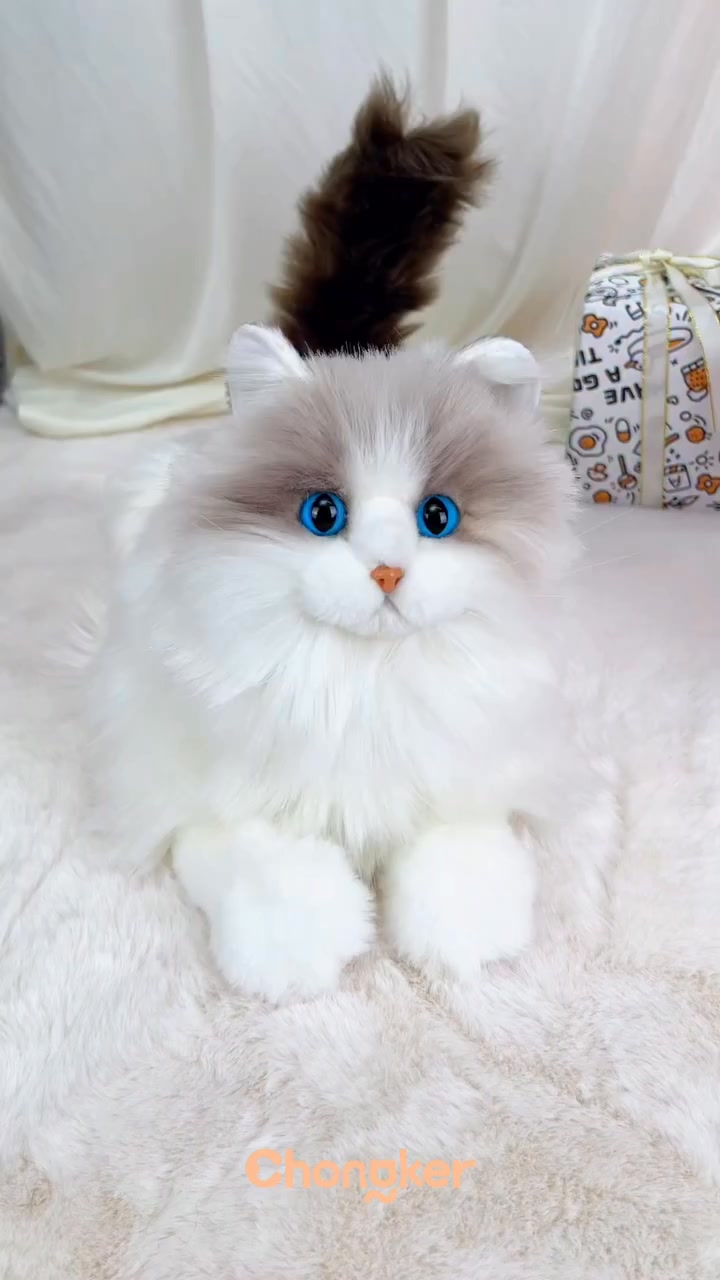 The Purrfect Christmas Gift 🎄