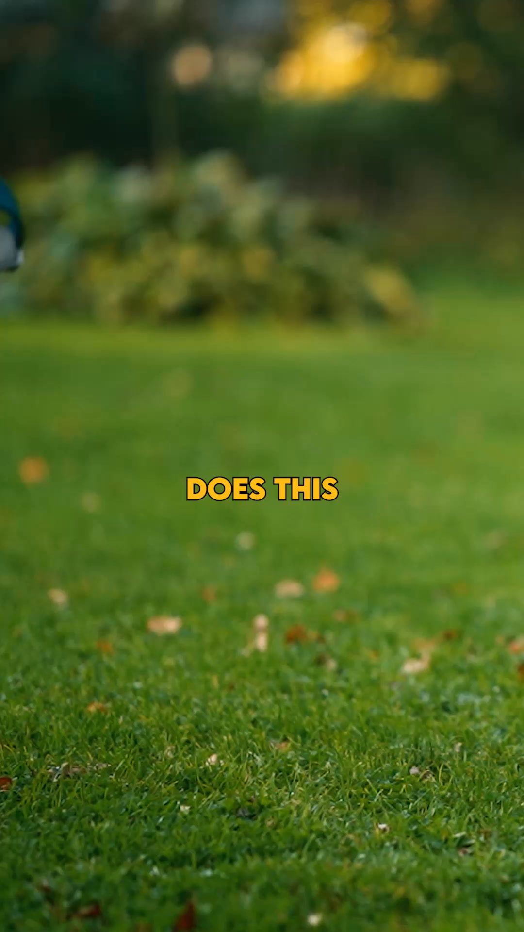 Alpha 360 Dog Harness