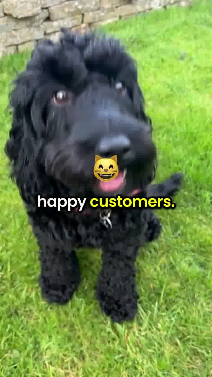 Free For A Limited Time 🔥