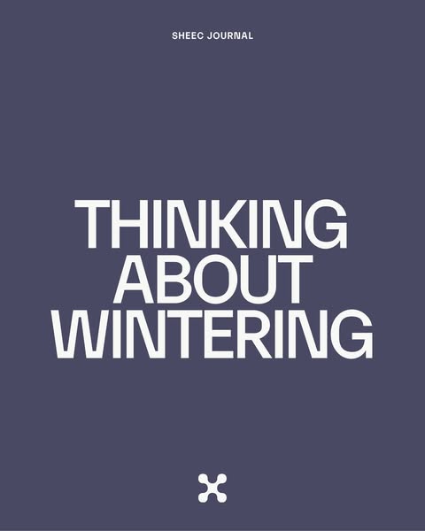 Wintering: wrapped in warmth, open to exploration

#WinterVibes #CozySeason #AdventureAwaits #WrappedInWarmth #sheecsocks