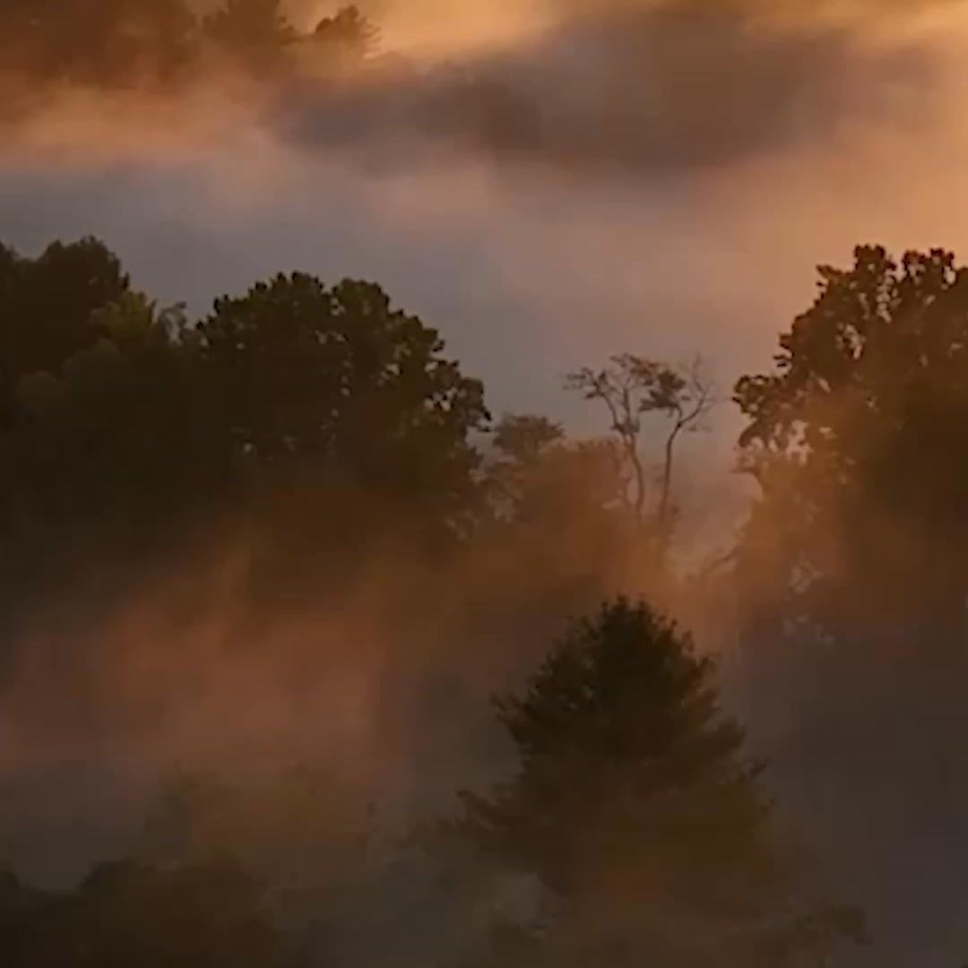 Explore Our Women's Health Category