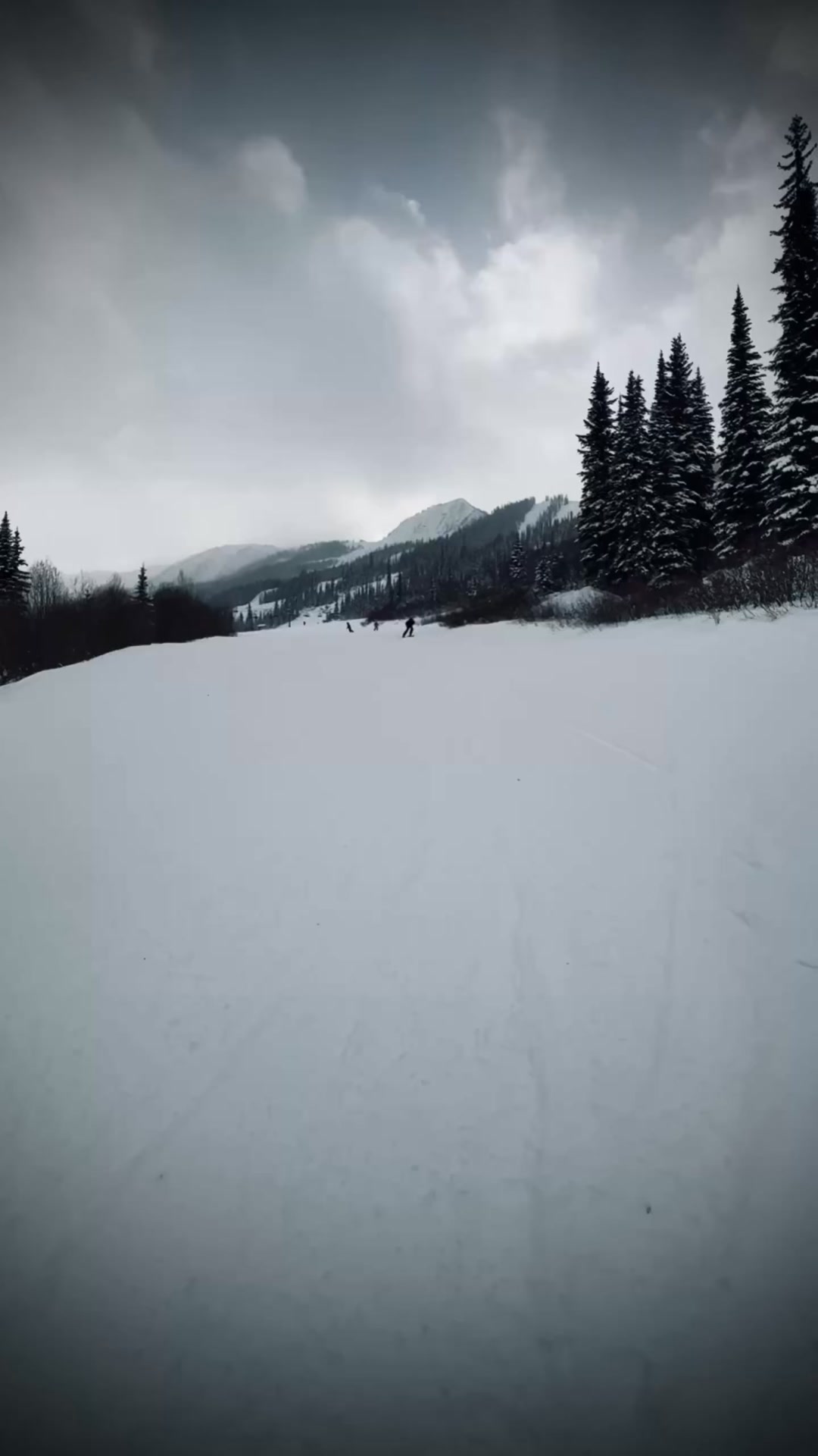 Alpiner Extreme Skeleton Automatic