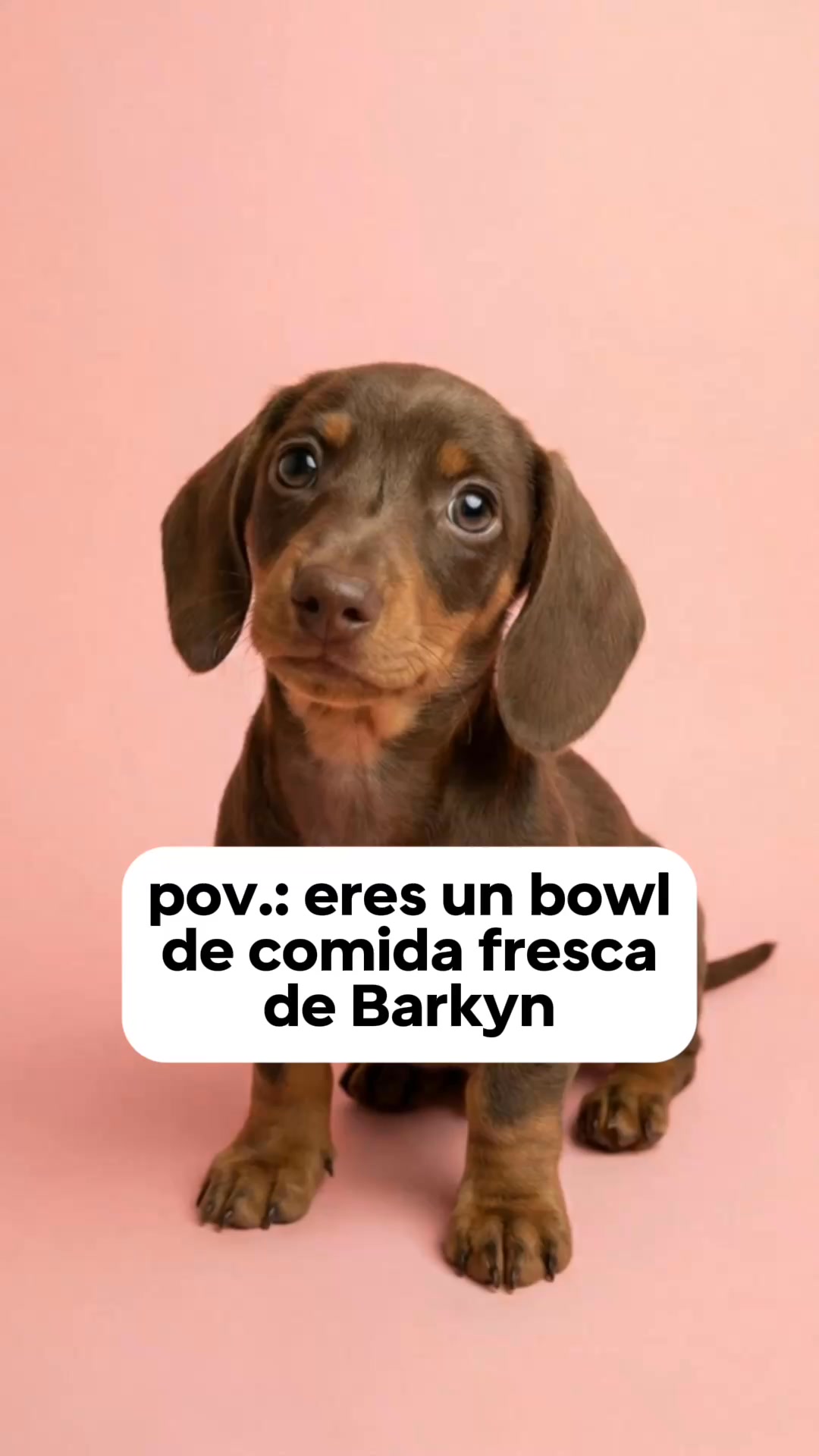 Más salud hoy. Más años juntos.