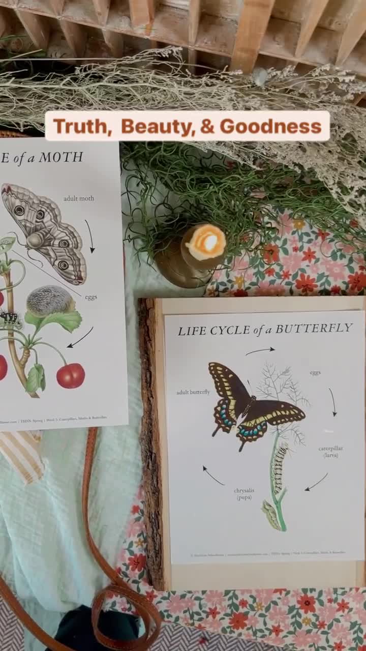 ✨Nature Awaits: Big Sale Inside ✨