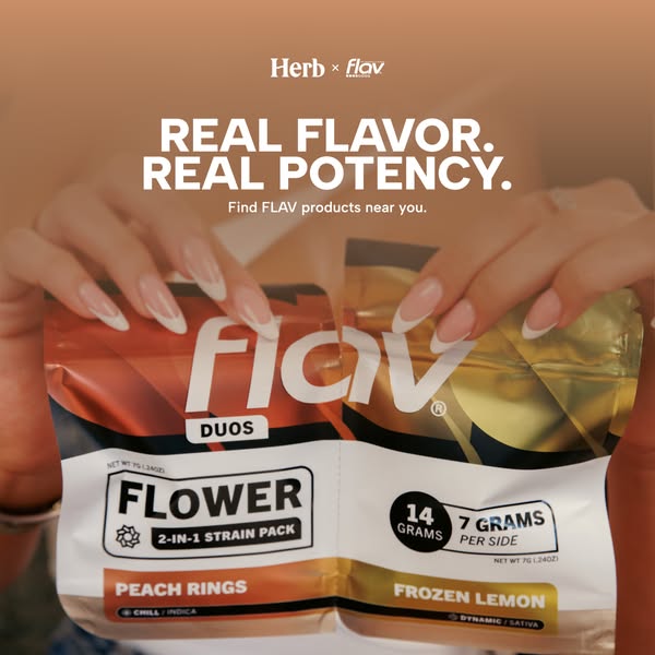 Read: New York Buyer's Guide