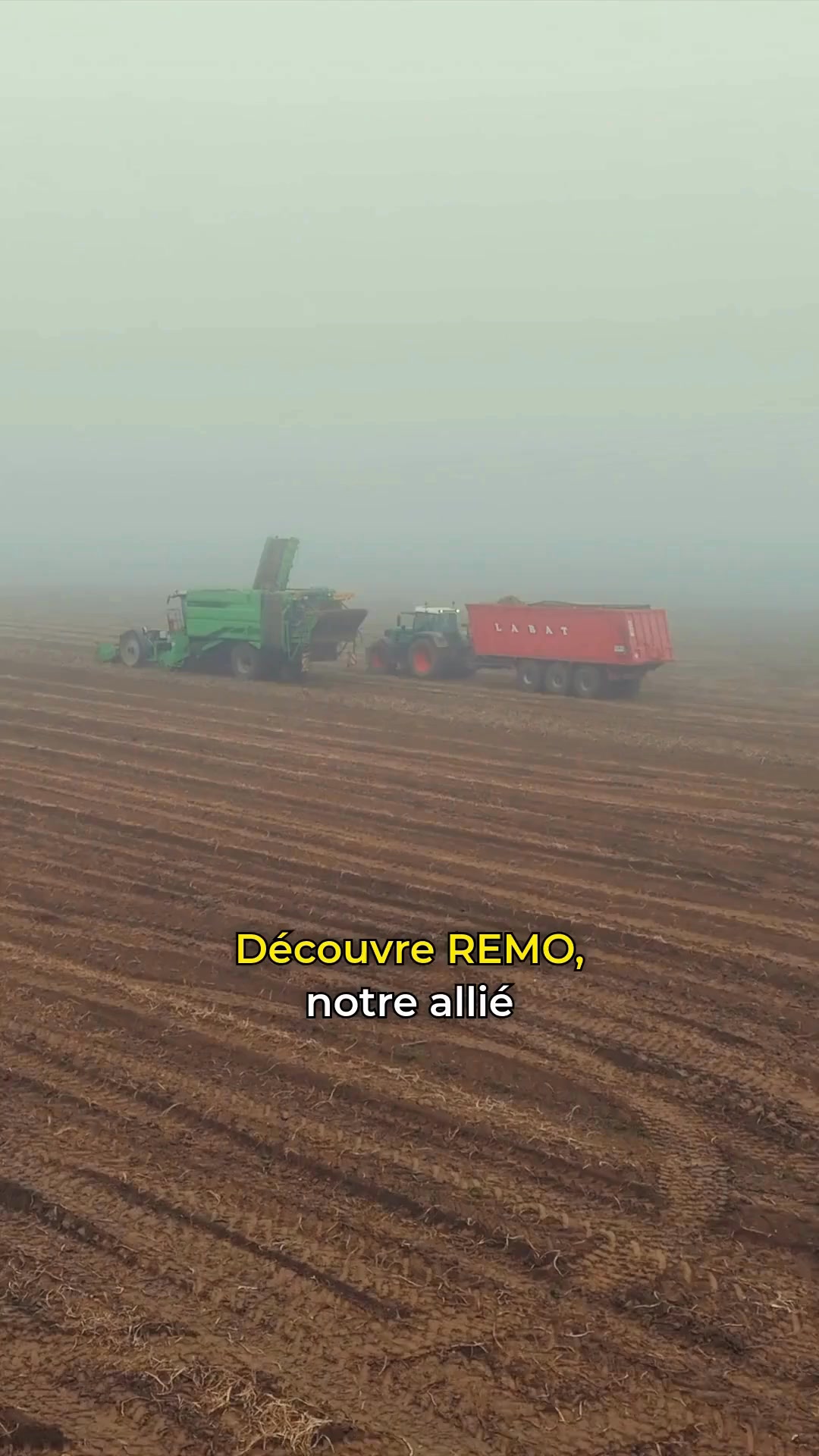 Du bon, du frais, du local 🍟