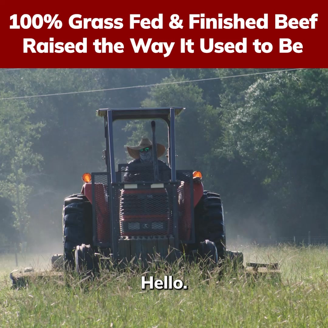 🥩 Healthy, Easy Meals Delivered To Your Door!