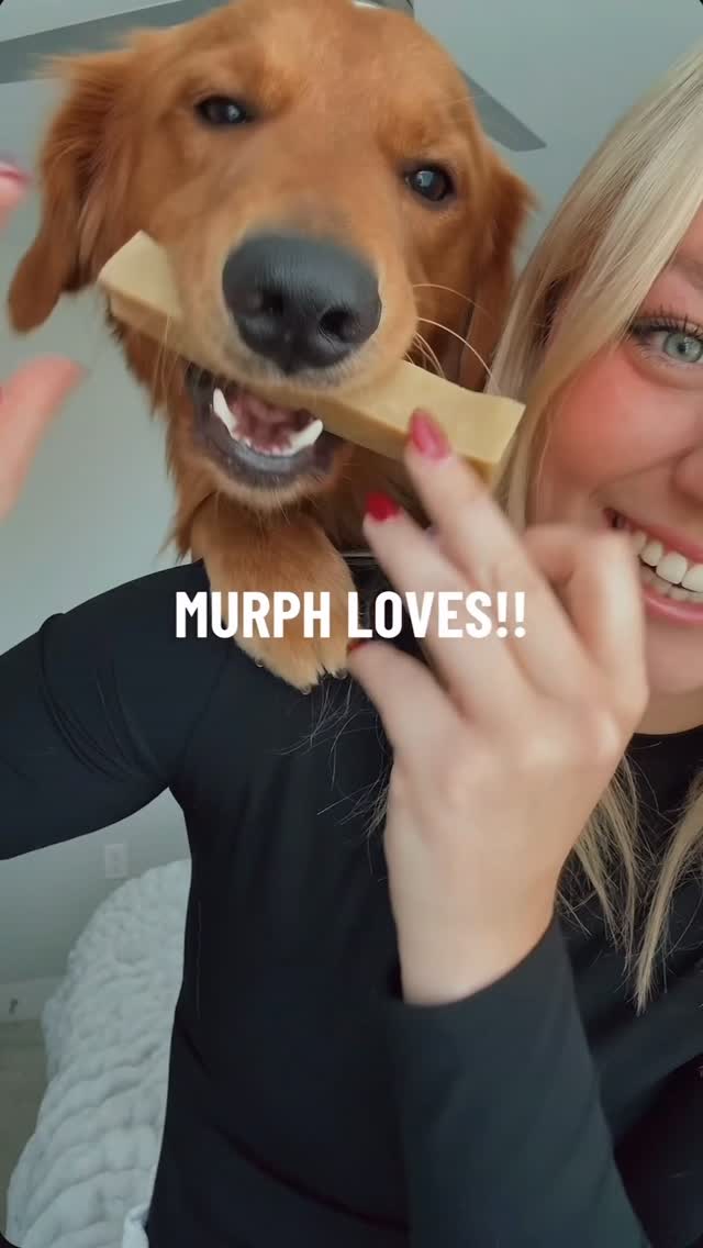 Skip the guesswork! The All-N-One Dog Chew Bundle lets us try the most popular Mighty Paw snacks to help find Murphy’s fave! 🐾

Link in bio! 🐶

 @mightypaw 

#Mightypaw #dogsofinstagram #Healthydogsnacks