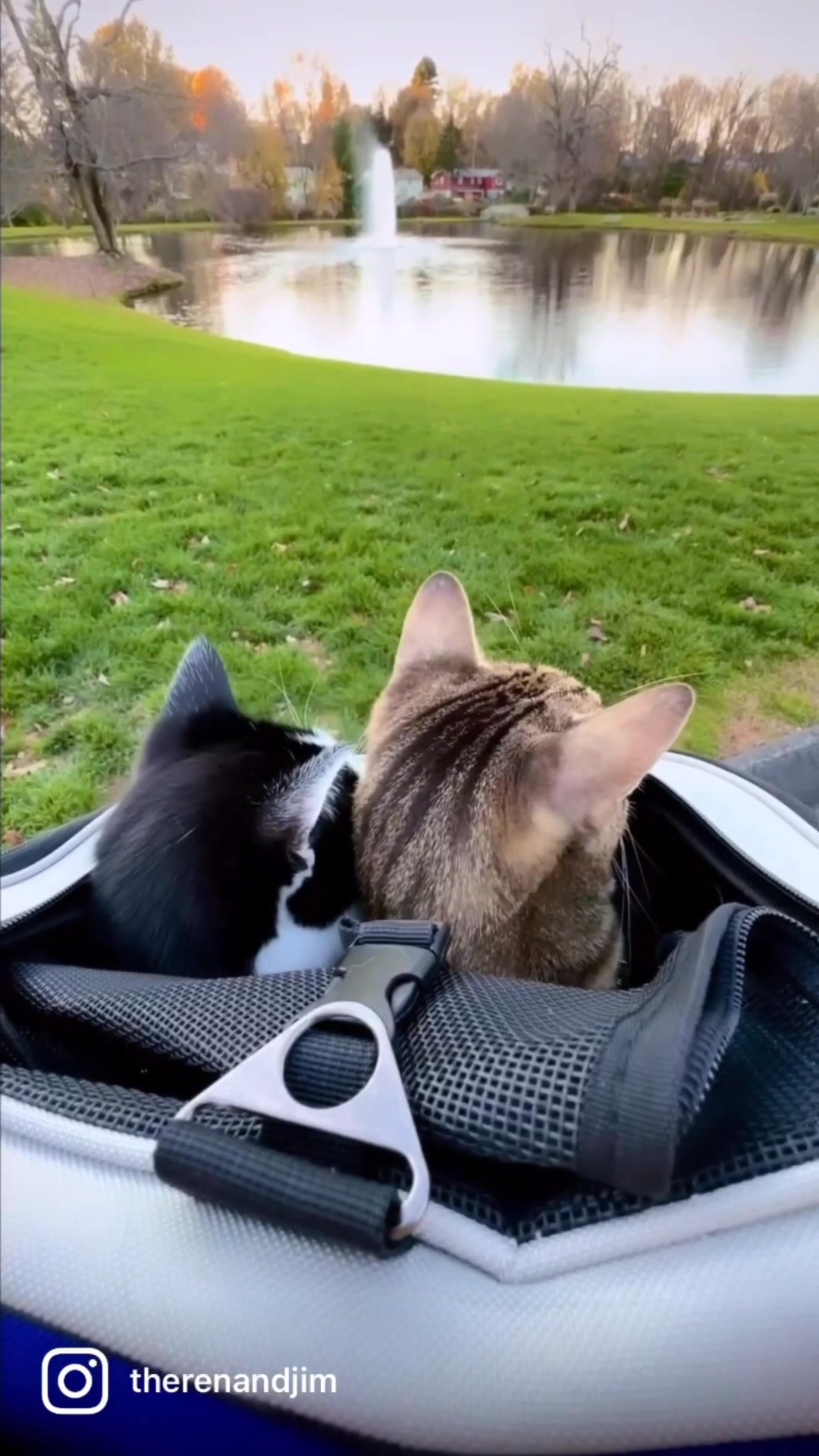 Explore Beyond The Great Indoors