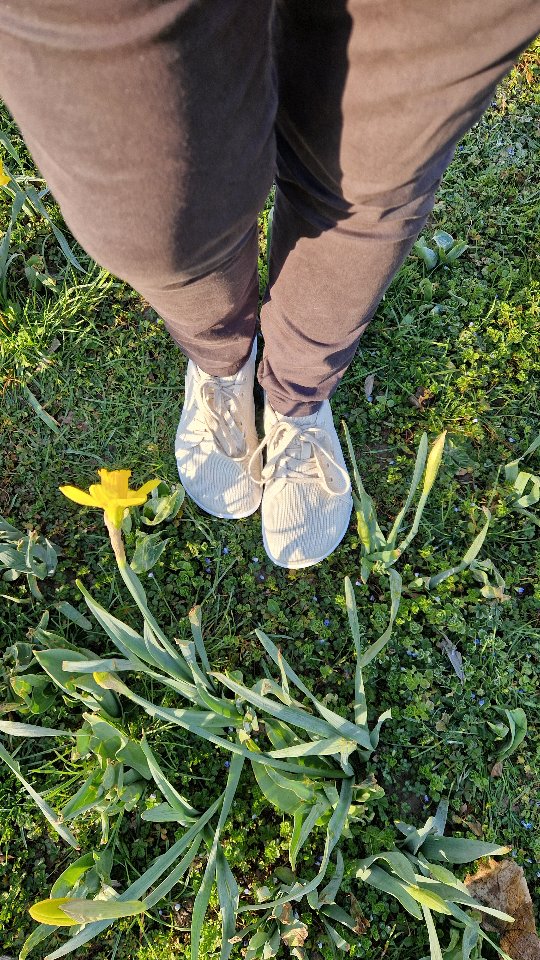 voici le modèle Luck I de chez @saguaroshoes_fr @saguaroshoes_official ❤️☀️
existe en plein de coloris et de tailles (du 36 au 43) et aussi en modèle enfants 😍 certaines tailles / coloris sont déjà épuisés donc si elles vous tentent ne tardez pas😉
idéales pour le printemps qui arrive 😍☀️👍
lien et code promo dans ma bio et dans ma story permanente Barefoot 😉
c’est une marque de chaussures barefoot avec plein de modèles femmes, hommes, enfants pour tous les goûts et adaptée pour les petits budgets 😉
je vous avais déjà présenté la marque avec un modèle hiver Will II qui m’a bien tenu chaud tout l’hiver 👍
je vous rappelle les 3 piliers du barefoot: une large Toe Box (pour que les orteils aient la place dont ils ont besoin), Zero Drop (plat pour une posture naturelle sans pencher vers l’avant) et Barefoot (semelle souple pour un mouvement naturel du pied) 👍
le modèle Luck I est à 45€ avec le code  livraison offerte dès 18€ 😉
top confortables, légères, faciles à assortir ❤️❤️
particulièrement adaptées pour les pieds larges comme les miens 👍 si vous avez le pied fin regardez plutôt un de leurs nombreux autres modèles 😉
toujours penser à bien mesurer votre pied c’est important 😉  guide des tailles avec mesures de longueur et largeur pour chaque modèle 😉
au début n’hésitez pas à y aller progressivement et à demander l’avis d’un pro de santé si vous avez une pathologie (même si malheureusement peu sont encore formés aux chaussures minimalistes, mais c’est en train de changer) 😉
n’hésitez pas aussi à poser vos questions en commentaire 😉
qui a franchi le pas du barefoot ?
voir aussi ma story permanente Barefoot pour + d’infos et vidéos 😉
collaboration marque #produitoffert
#saguaroshoes #saguarosarefootshoes  #healthylifestyle #review #musthavesaguaro #barefoot #chaussuresminimalistes #minimaliste #pieds #pied #bienetre #santedespieds #barefootshoes #prendresoindesoi #orteils #hallusvalgus #malauxpieds #posture #bonplan #mode #printemps #luck1