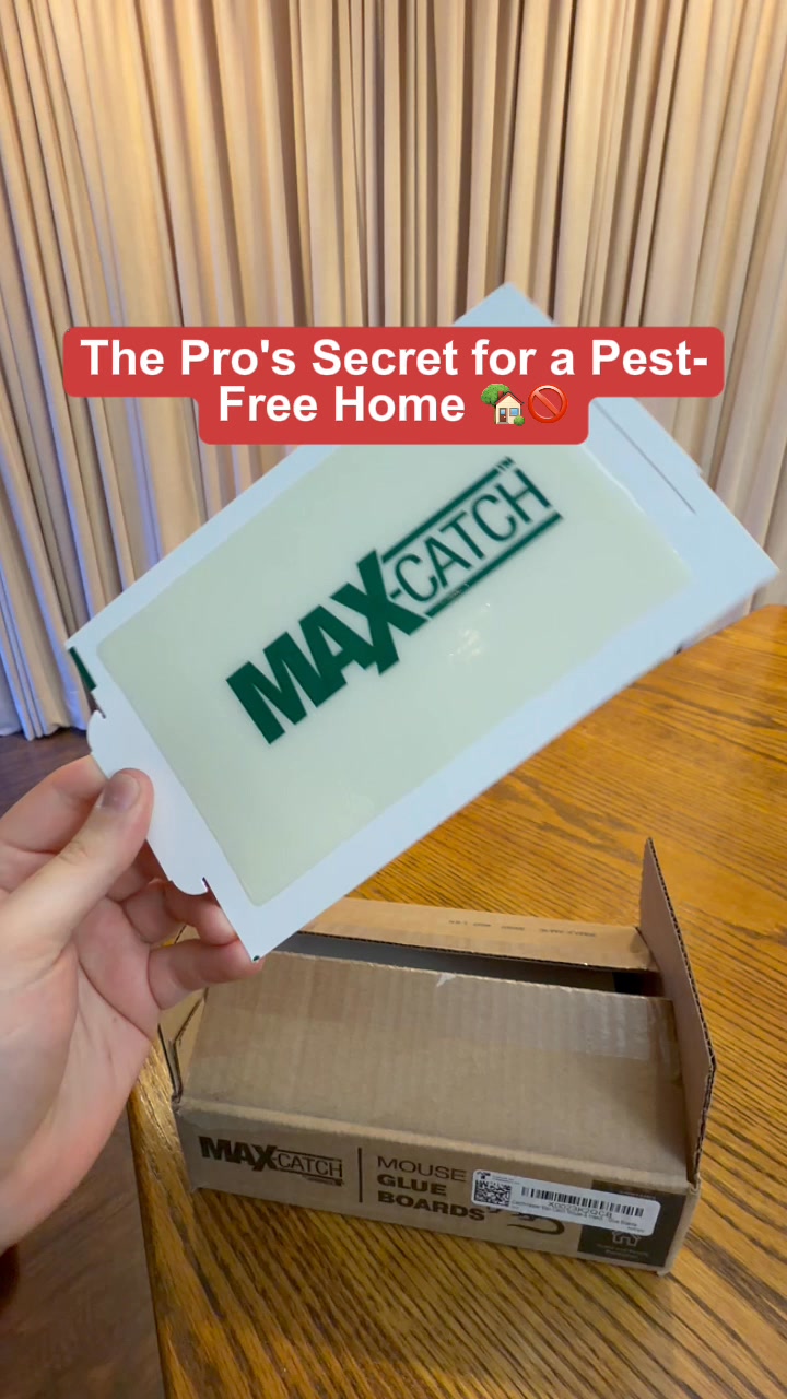Poison-Free Pest Control For Your Home