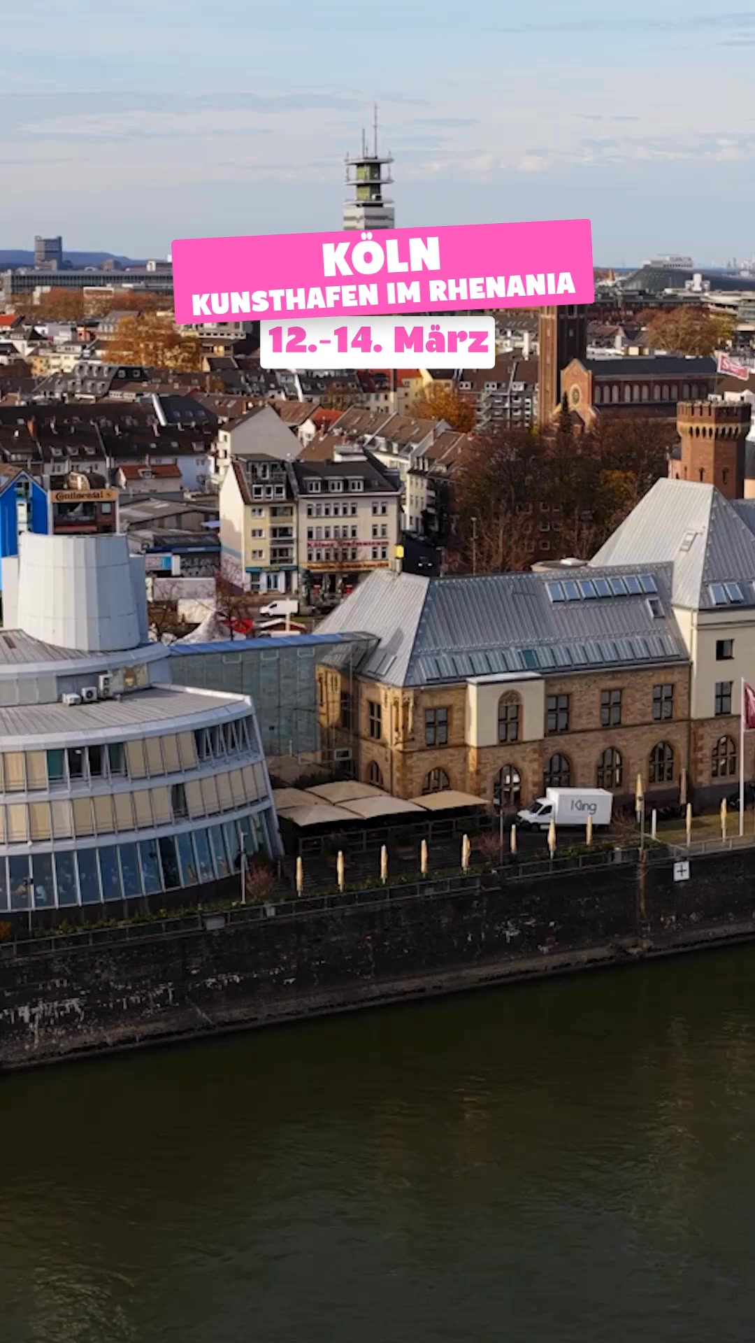 Pflanzen ab 1,99€ 🌿