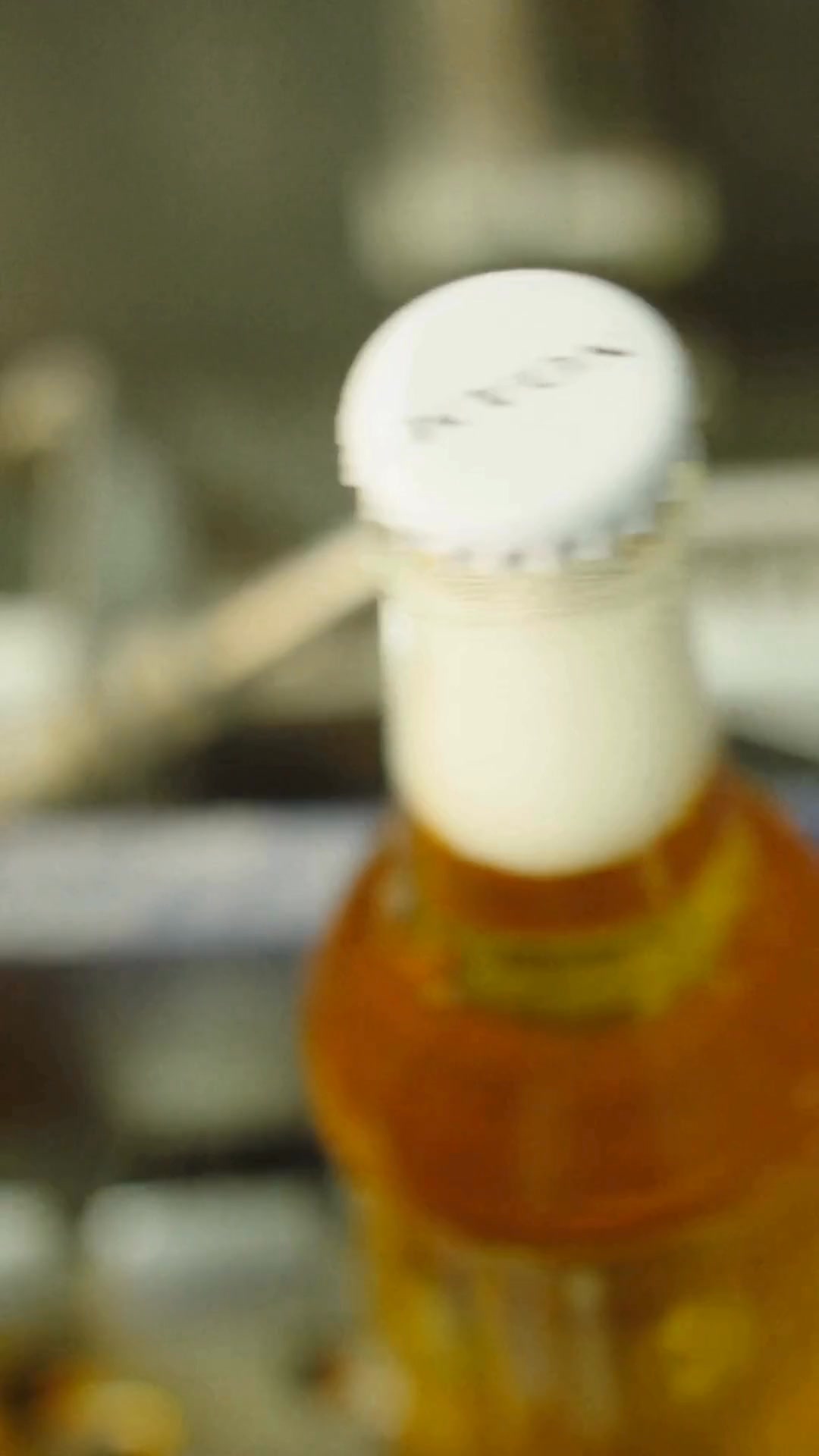 Order here, shipping is free