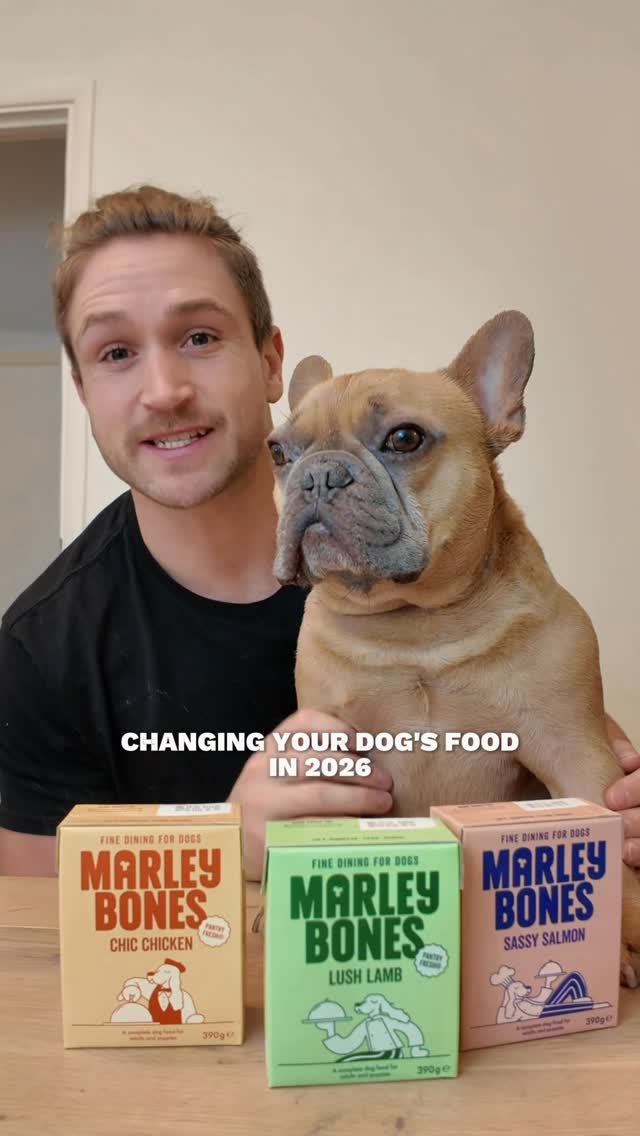Thinking about changing your dogs food in 2026? 🥩 🐾 

Then give @marleybonesdogdining a try 🐾 
And you can get 40% off using code TJFRENCHIE 

#ad #marleybones #dogfood