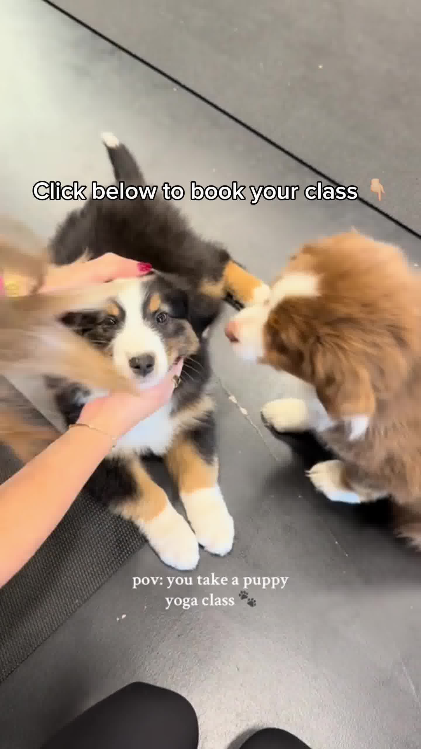 Book your class now!