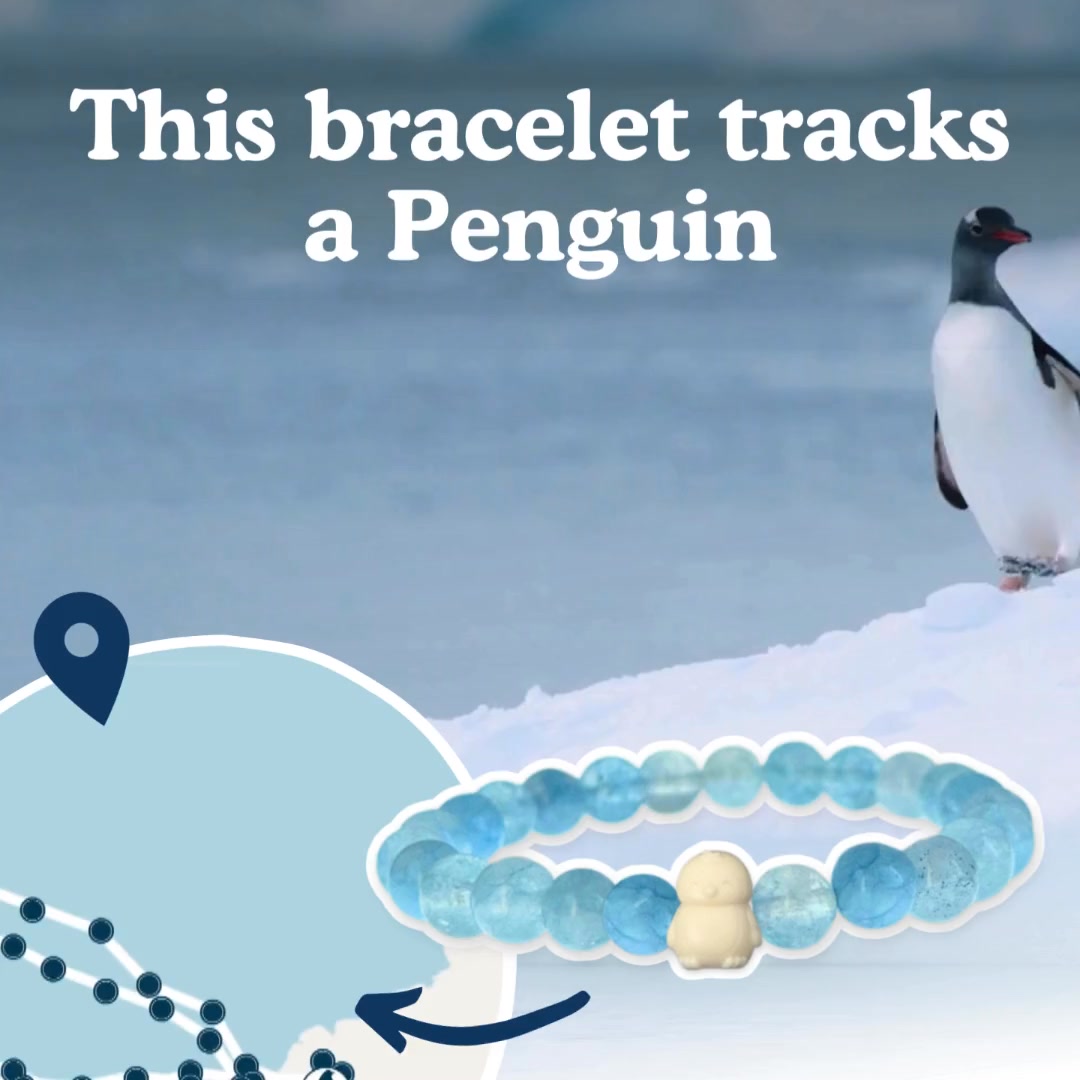 The best gift ever ! 🎁