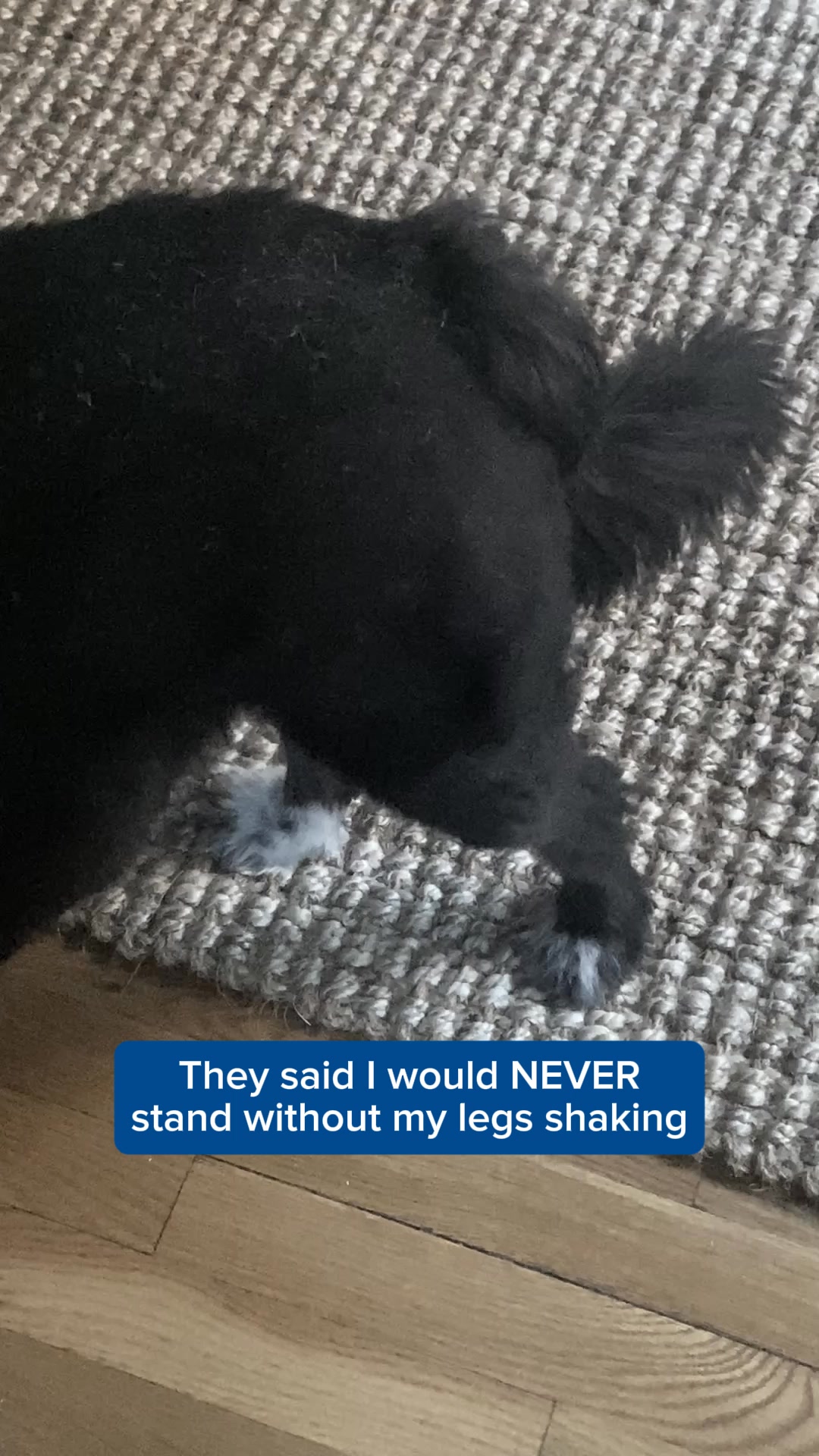 "I only wish I had tried sooner..."