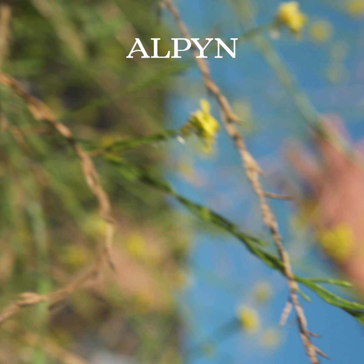 Wild Plants. Real Results.