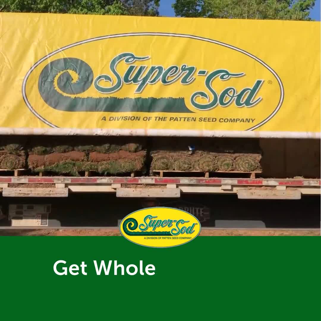 Request a PRO Account