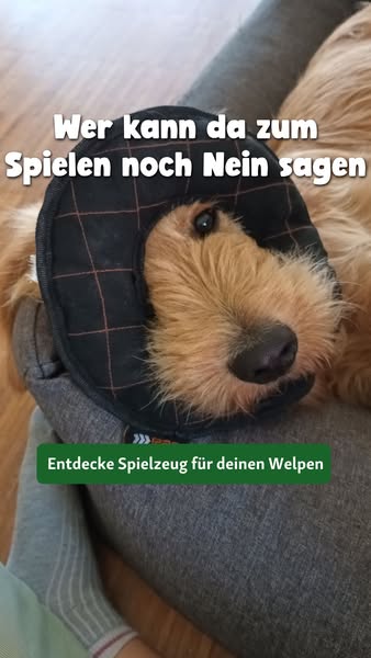 Alles bei Fressnapf