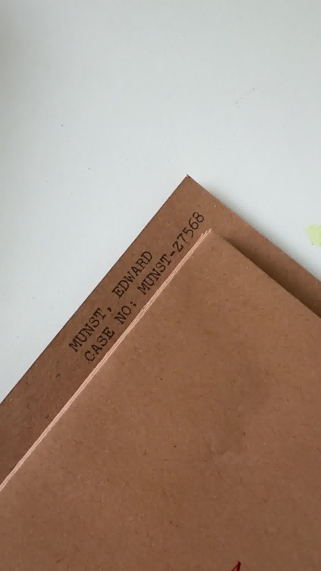 🕵️ Can You Solve the Case?