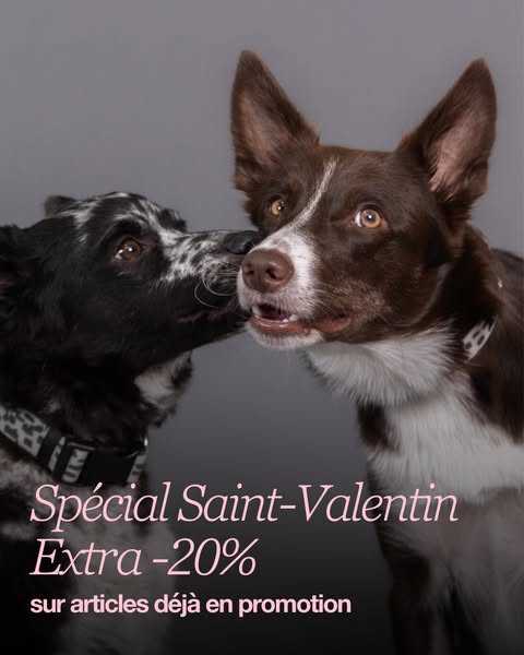 Extra −20% 💘 Spécial Saint-Valentin.